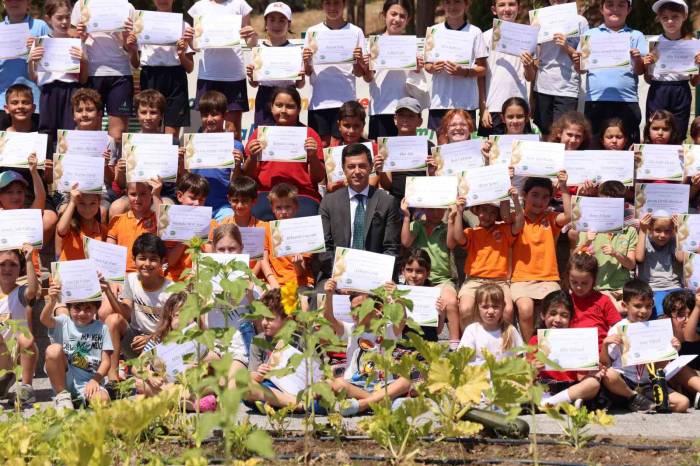 Marmaris’te Başkan Ünlü Ve Çocuklardan Son Hasat