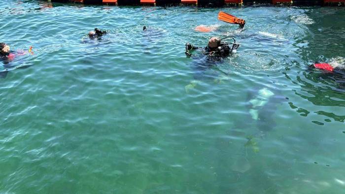 Beşiktaş’ta Kıyı Temizliği Yapıldı, Denizin Dibinden Çıkan Atıklar Sergilendi