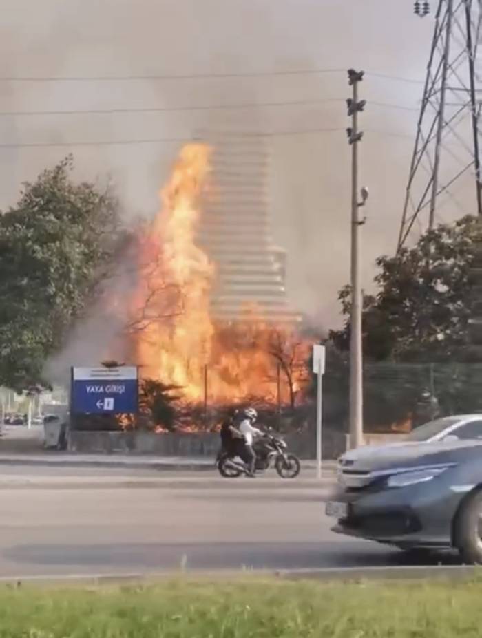 Bursa’da Avm Bahçesinde Yangın: Ağaçlık Alan Alev Alev Yandı