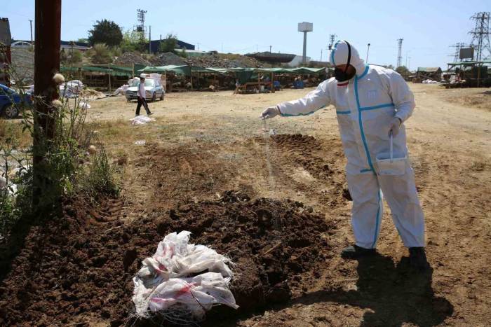 Eyüpsultan’da Kurban Satış Alanları İlaçlanıyor