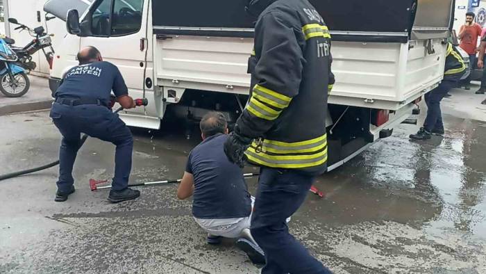 Bafra’da Yılan Operasyonu