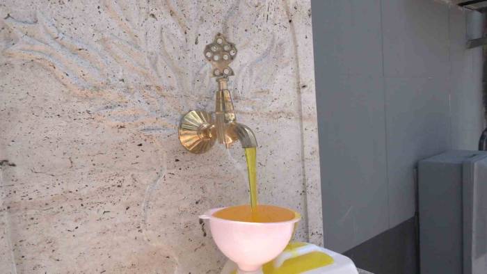 Deterjan Hayrat Çeşmesiyle İsrail’e Karşı Protestoda Çığır Açtı