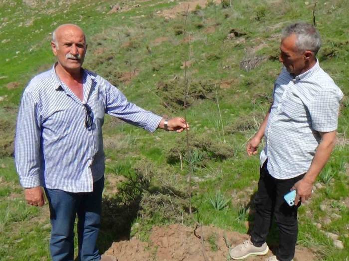 Memleketine 3 Yılda 2 Bin Ağaç Diktirdi