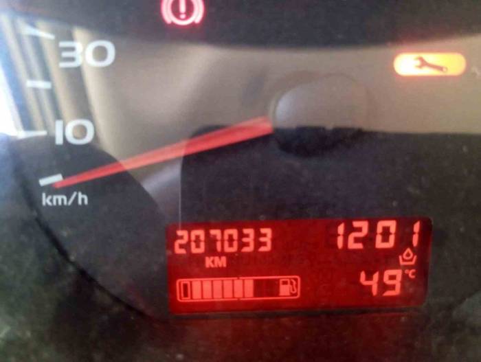 Tarihi Sıcaklık Belediyeye Sokak Hayvanları İçin Çağrı Yaptırdı