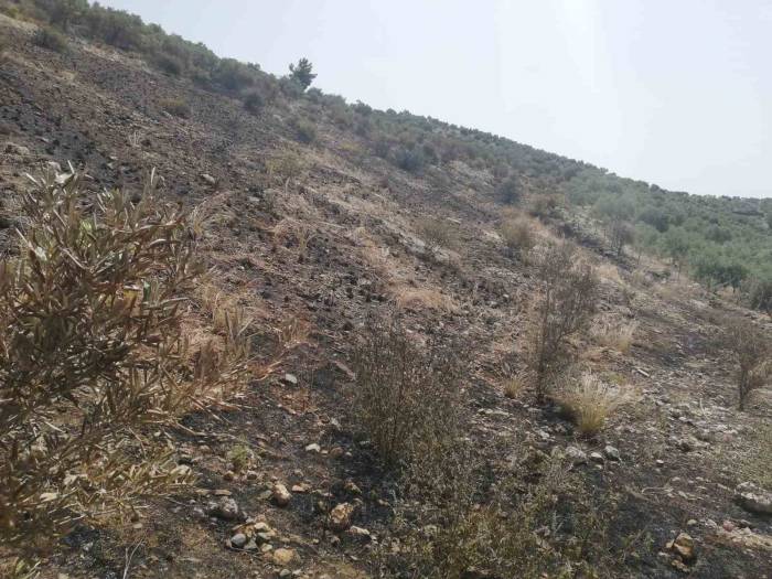 Söke’de Yangından Etkilenen Yerler Afet Bölgesi İlan Edildi