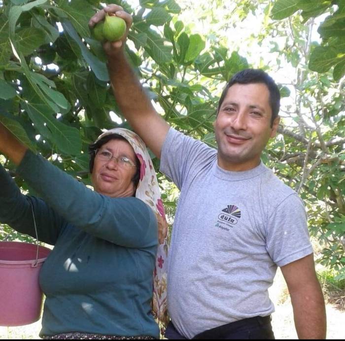 Buharkent, İncir Sezonuna Hazırlanıyor