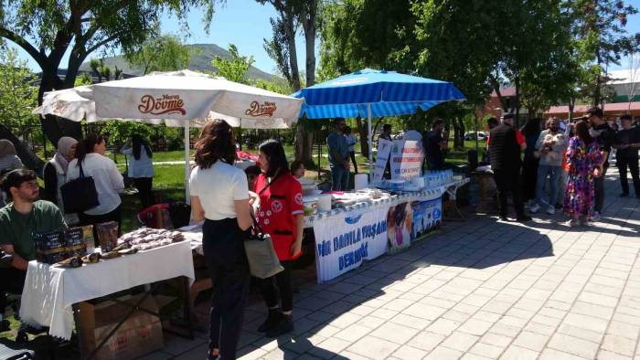 Hayvan Severlerden Sokak Hayvanları Yararına Yardım Kampanyası