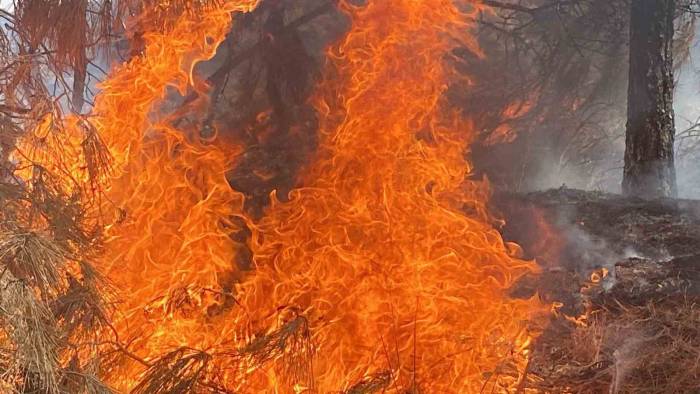 Yerleşim Alanına Doğru İlerleyen Yangın İçin Hava Desteği İstendi