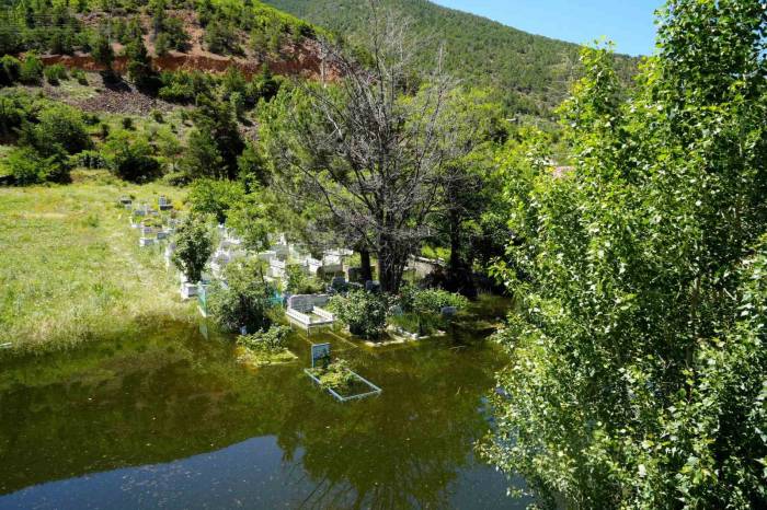 Baraj Suları Yükseldi Mezarlıklar Yine Sular Altında Kaldı