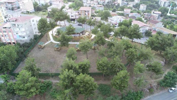 Kale Kafe, Yaşlıların Kullanımı İçin Dönüştürülecek