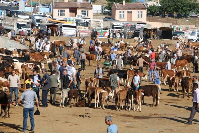 Diyarbakır’da 115 Bin Hayvan Kurbanlık İçin Satışa Hazır