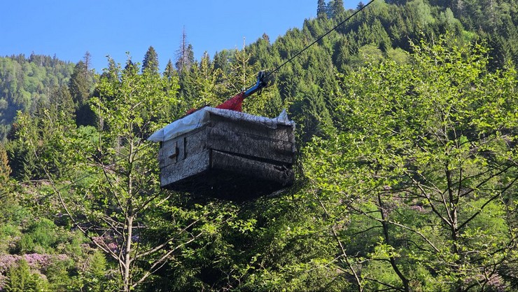 rizede-tavuklarini-ayilardan-koruyabilmek-icin-yerden-25-metre-yukseklikte-kumes-yapti-6.jpg