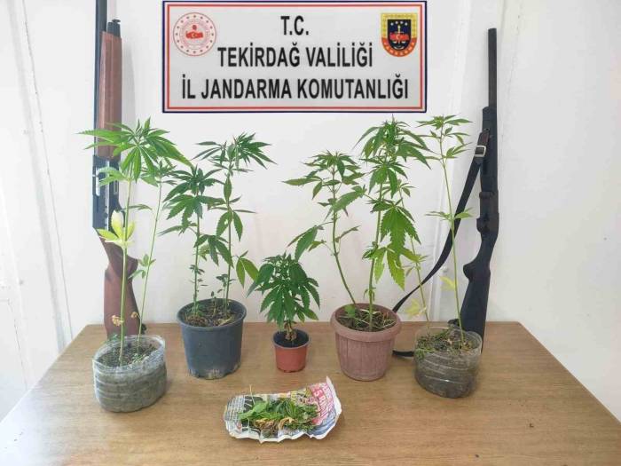 Tekirdağ’da Uyuşturucu Ve Silah Operasyonunda 10 Gözaltı
