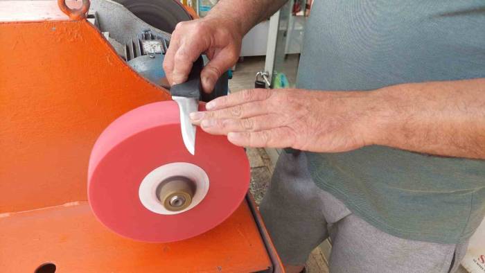 Kurban Kesecekler Dikkat: Eziyet Etmemek İçin Mutlaka Bunu Yapın