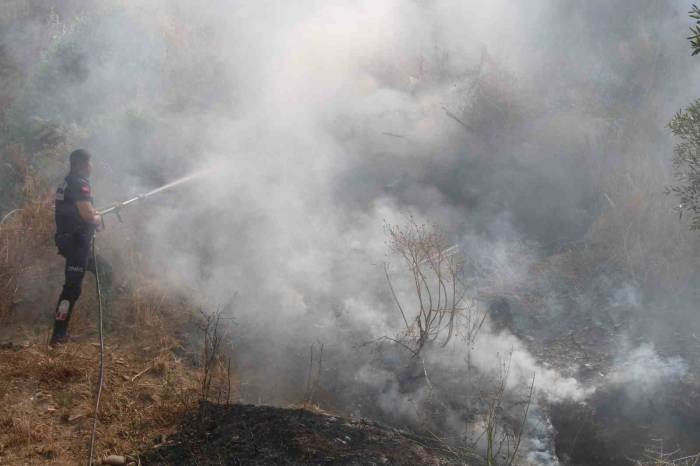 İtfaiyenin Hızlı Müdahalesi Alevlerin Antik Kente Ulaşmasını Önledi