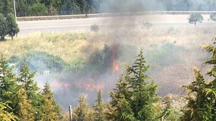 Kocaeli’de Orman Yangını: Çam Ağaçları Yandı