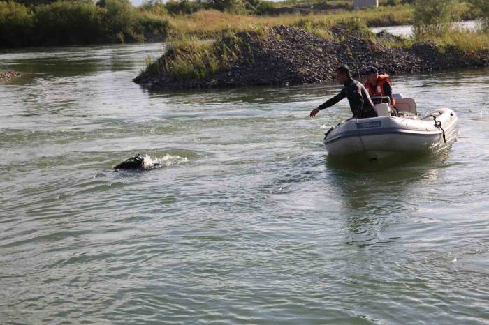 Nehirde Akıntıya Kapılarak Kaybolan Gencin Cansız Bedenine Ulaşıldı