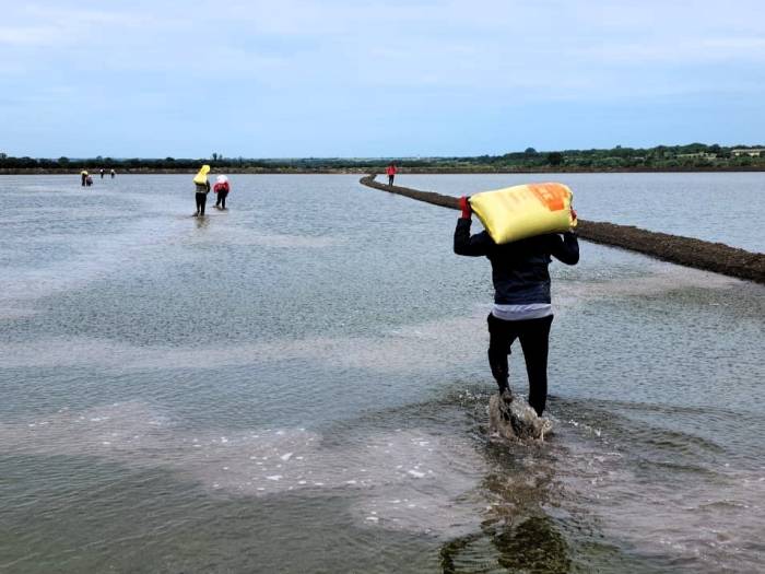 Pehlivanköy’de Çeltik Tohumları Su Ve Toprakla Buluştu