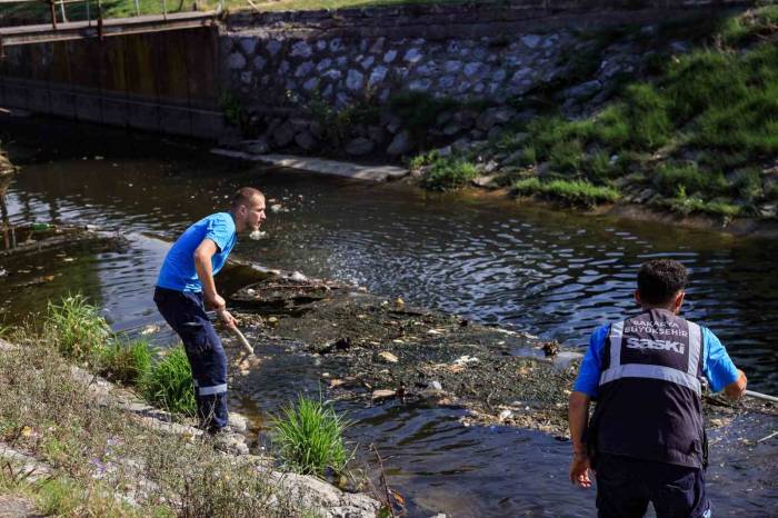 Çark Deresi’ndeki Temizlik Çalışmaları Sıklaştırıldı