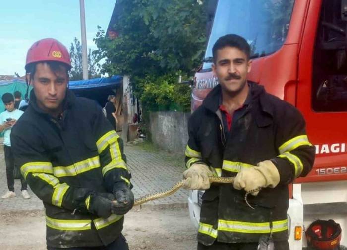 İtfaiye Ekiplerinin Yılan Mesaisi