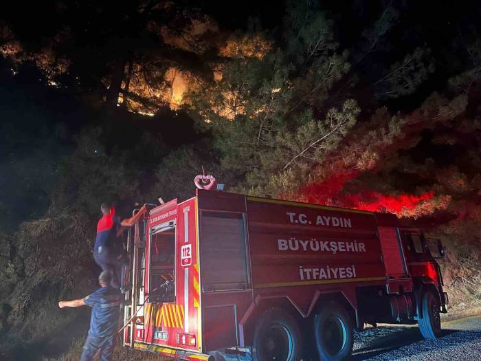 Kuyucak’ta Zirai Alan Yangını