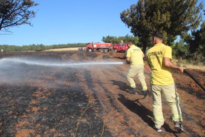 Bayramiç’te Çıkan Yangında 100 Dönüm Alan Zarar Gördü