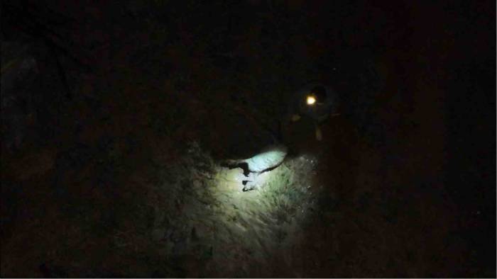 Kırıkkale’de Sağanak Sonrası Dereler Taştı: Sel Suları Ağıla Doldu