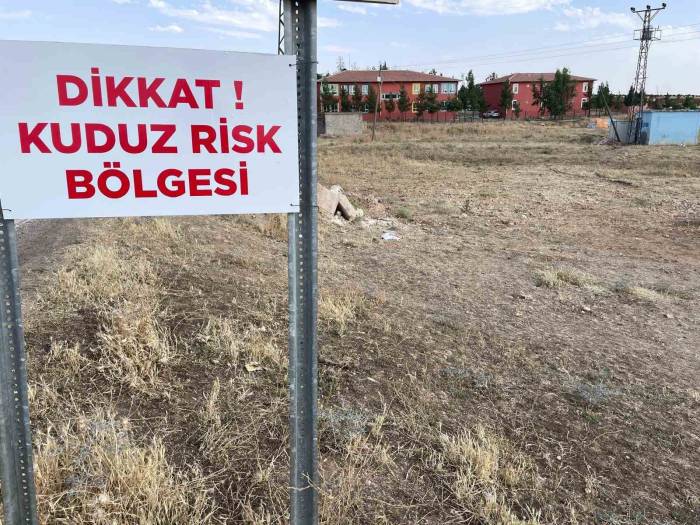 Şanlıurfa’da Kuduz Vakaları Nedeniyle 2 Mahalle Karantinaya Alındı