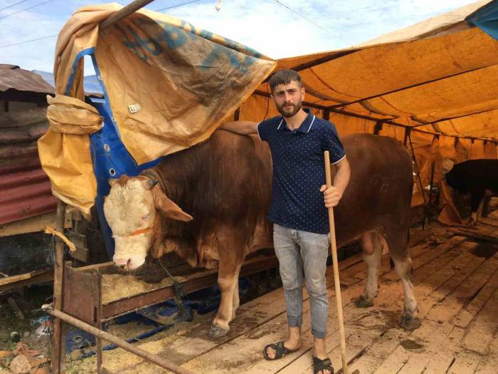 Kocaeli’de Kurbanlıkların Yarısı Satıldı