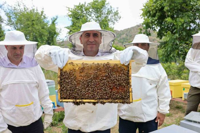 Bilecik’te ‘Varroa’ İle Topyekûn Mücadele