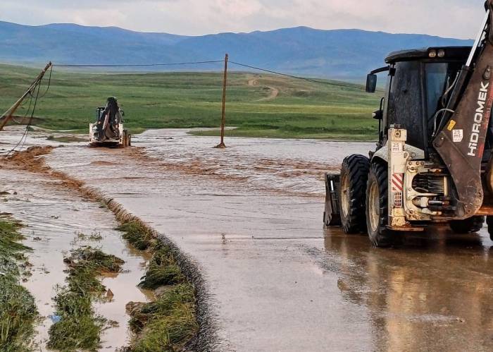 Van Saray’da Sel: 2 Büyükbaş, 100’e Yakın Küçükbaş Hayvan Telef Oldu