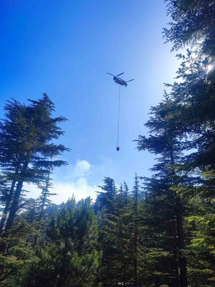 Adana’daki Orman Yangını Kontrol Altına Alındı