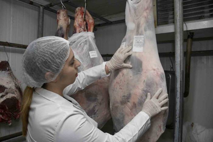 Uzmanlar Uyardı: "Taze Etler Şoklandıktan Sonra Eksi 18 Derecede 6 Ay Saklanabilir"