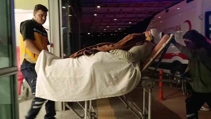 Erik Toplamak İçin Çıktığı Duvardan Düştü