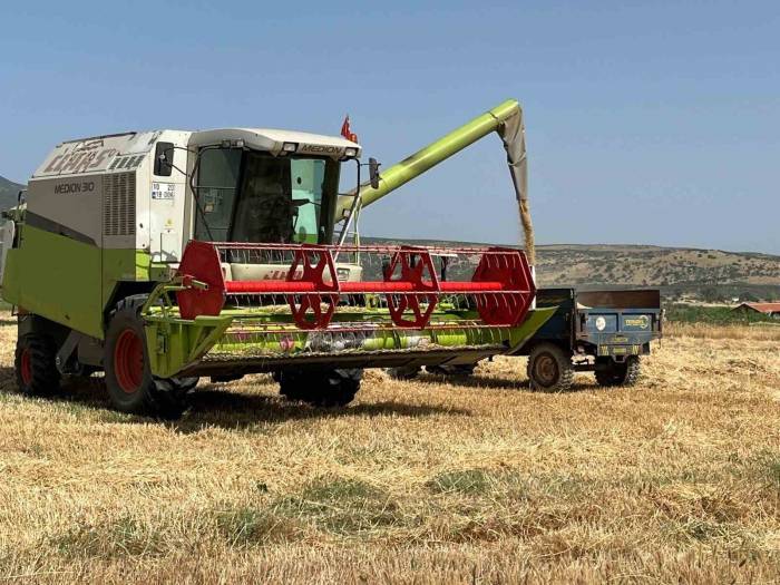 Manisa’da Biçerdöverlerin Dane Kaybına Sıkı Denetim