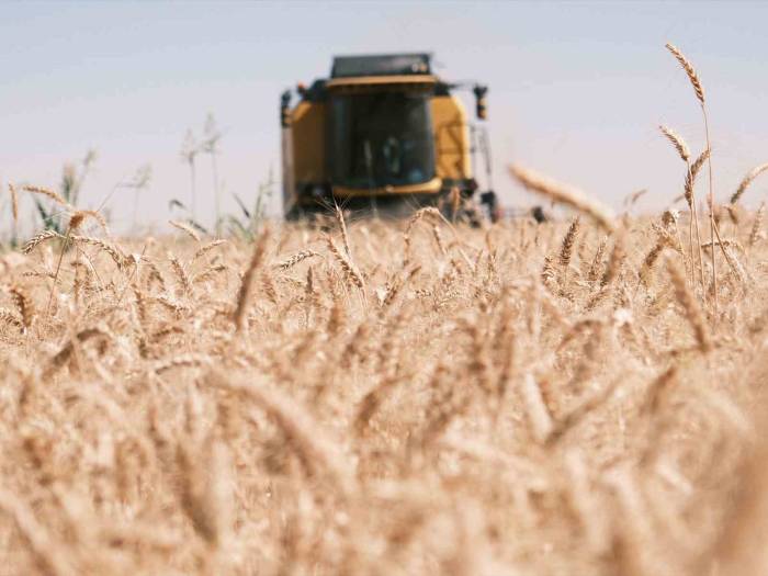 Emekli Öğretmenin Mardin’de Zorlu Biçerdöver Mesaisi