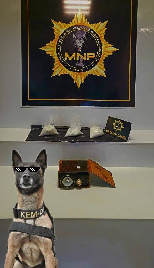 Aracın Ses Sistemi Kabinindeki Uyuşturucuyu Thor Buldu