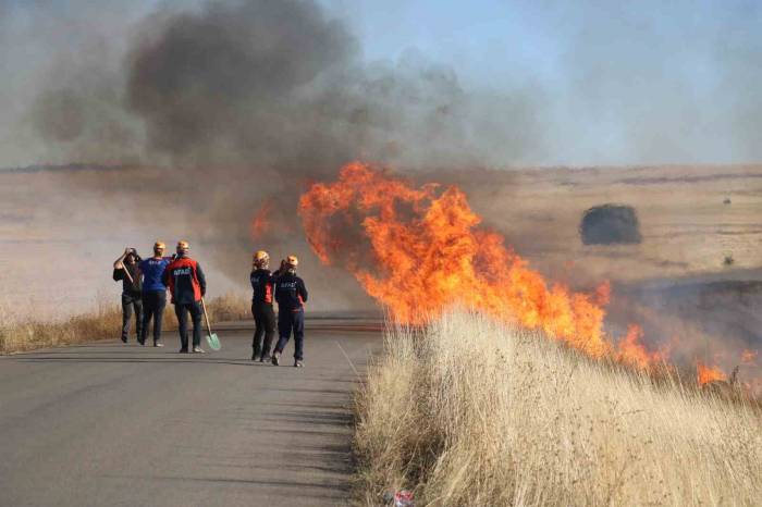 O Yasağa Uymayanlara Para Cezası Kesilecek