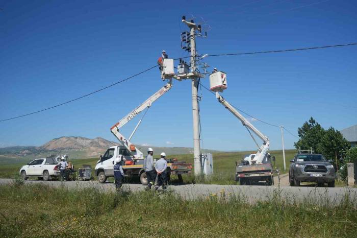 Vedaş’tan Kuş Ölümlerine Karşı İzolasyon Çalışması