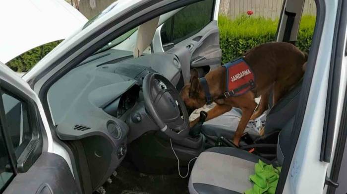 Vites Topuzu Altında Uyuşturucu Sevkiyatına Jandarma Darbesi: 2 Tutuklama