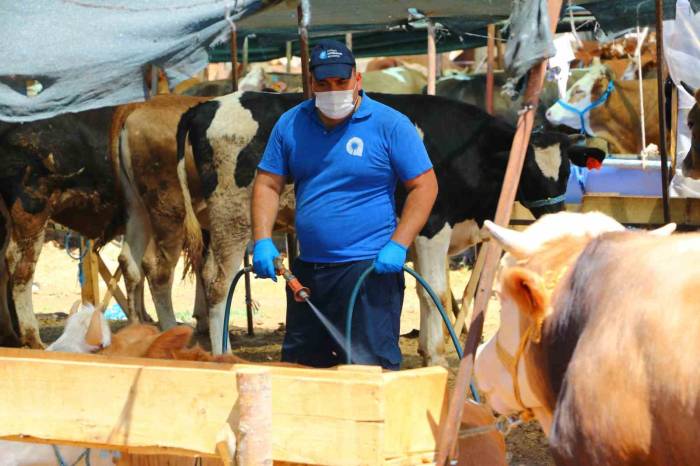 Büyükşehir Kurban Pazar Yerlerini İlaçlıyor