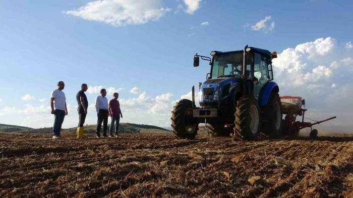 Coğrafi İşaretli Yedisu Horoz Kuru Fasulyesi, Üniversitenin Çiftlik Alanında Ekildi