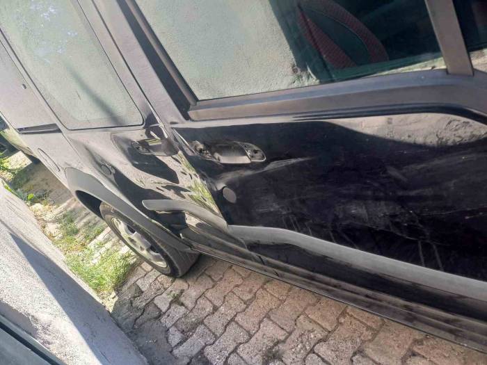 Tunceli’de Ayı, Seyir Halindeki Araca Saldırdı