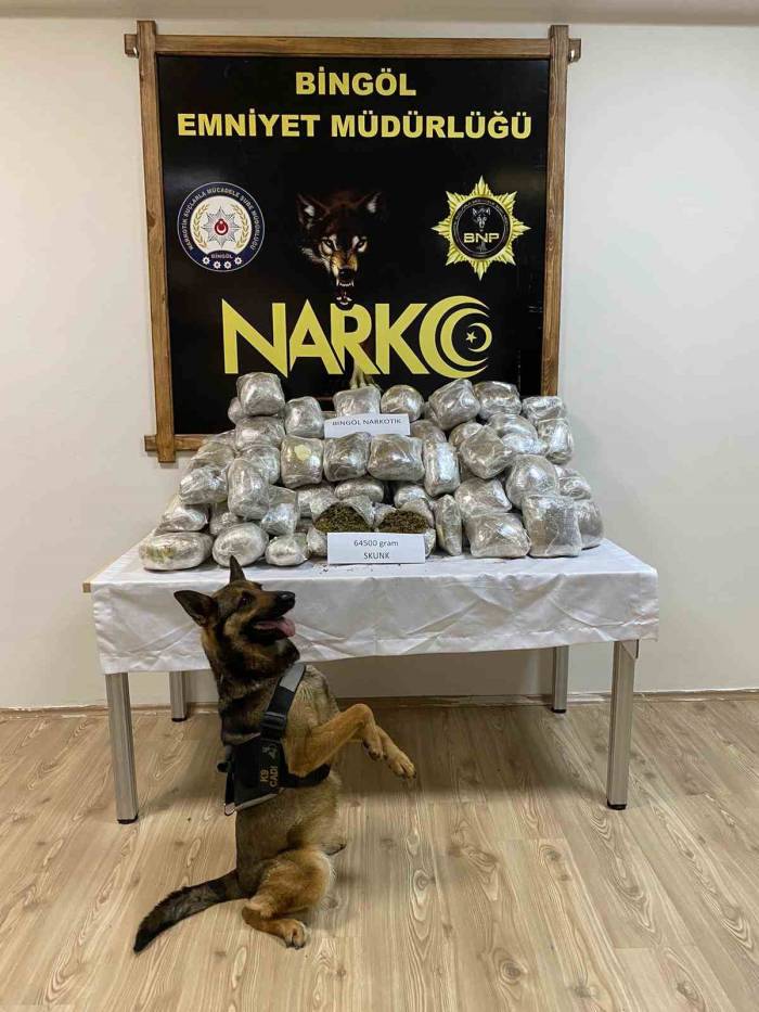 Bingöl’de 64 Kilo Uyuşturucu Ele Geçirildi: 1 Tutuklama
