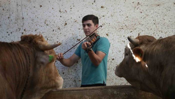 Kemanın Melodisiyle Büyüyen Kurbanlıklar