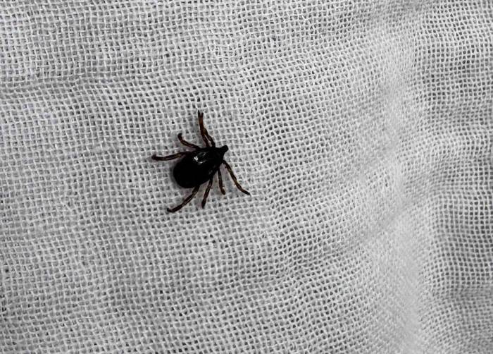 Sivas Valiliği Uyardı: 22 Vaka Tespit Edildi 3 Kişi Hayatını Kaybetti