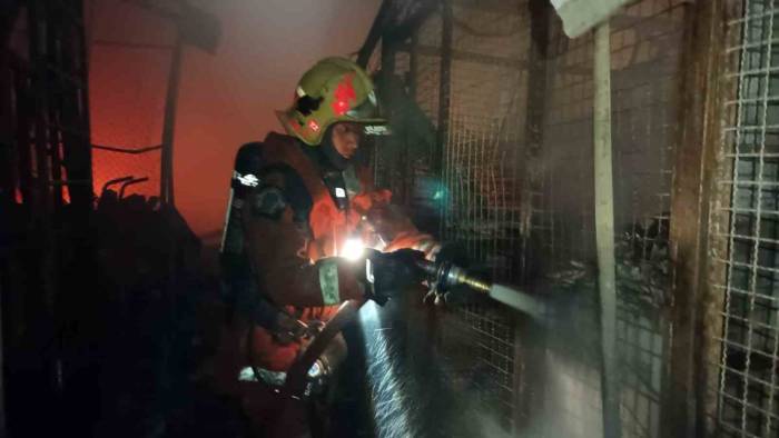 Tayland’da Hayvan Pazarında Yangın: En Az Bin Hayvan Telef Oldu