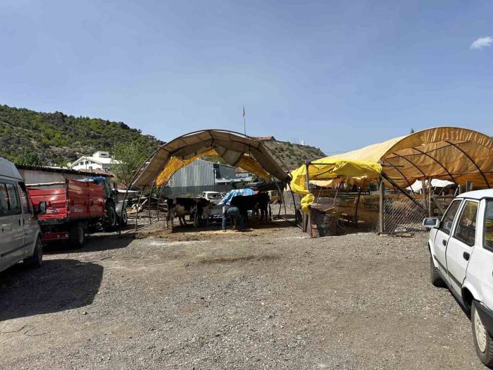 Kızılcahamam’da Kurban Pazarı Kuruldu