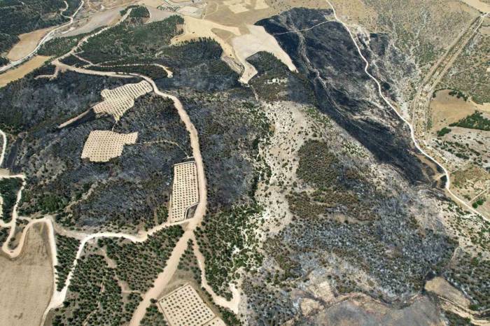 35 Hektar Alanın Zarar Gördüğü Yangın Sahası Havadan Görüntülendi