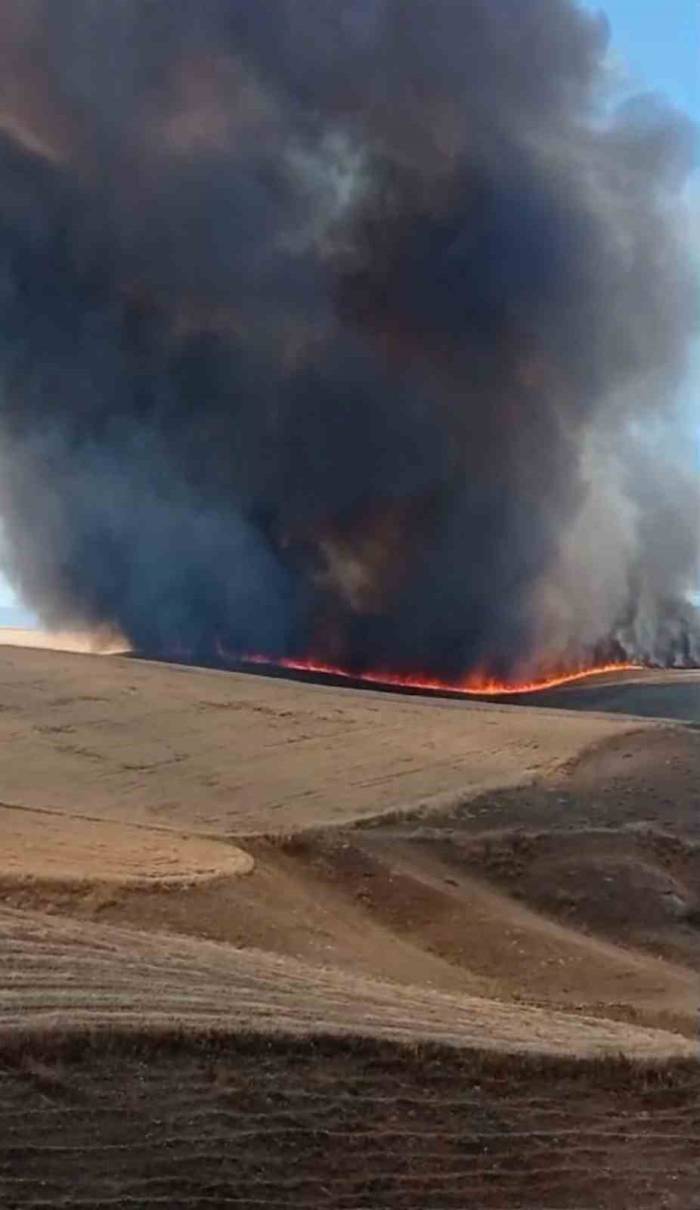 Diyarbakır’da Bin Dönümlük Arazi Küle Döndü